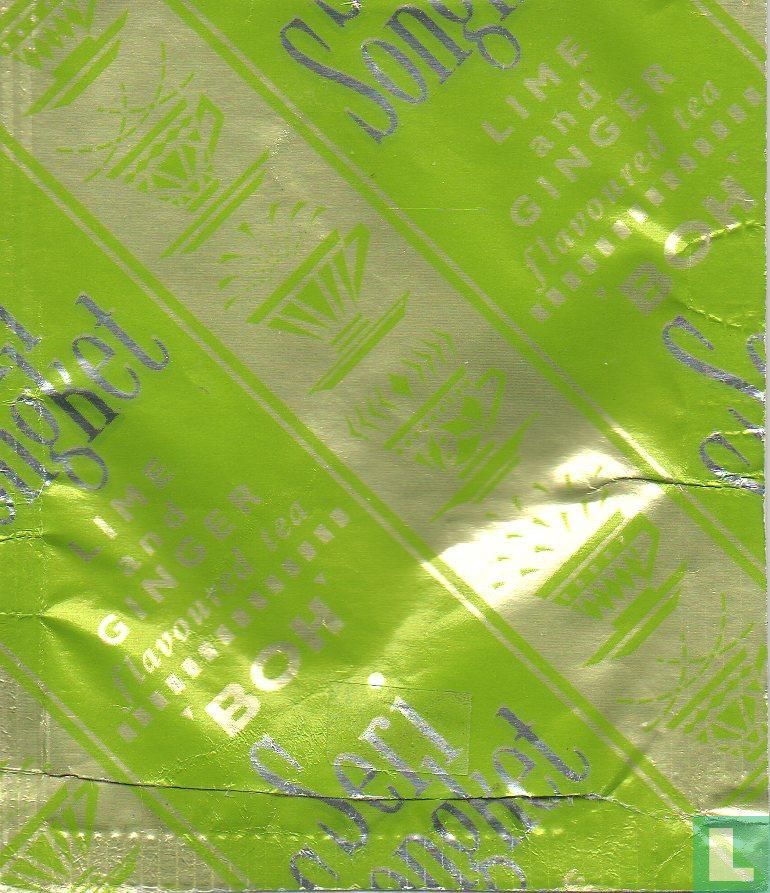 Lime & Ginger