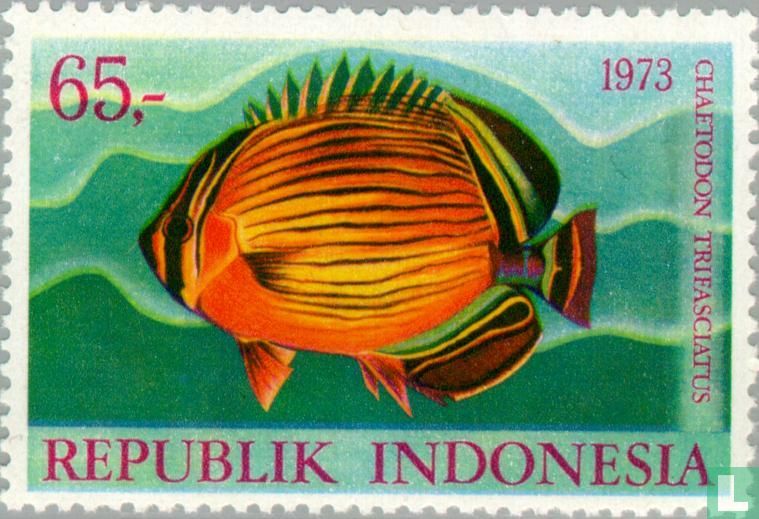Native fish