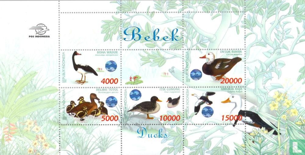 Ducks