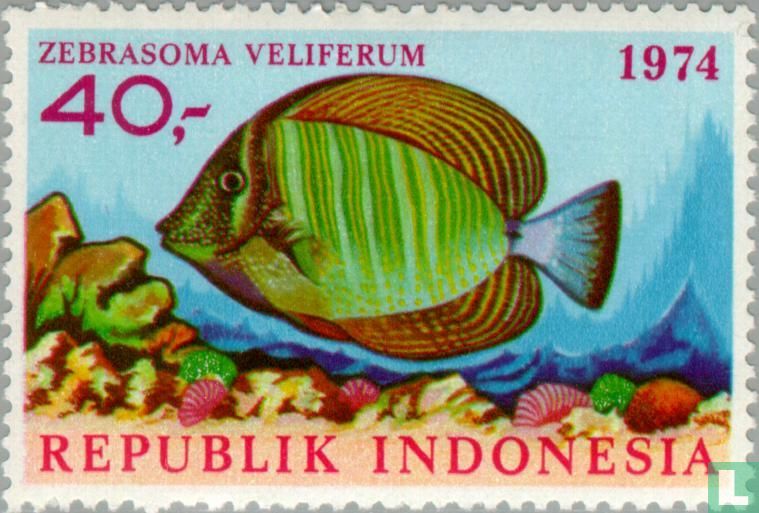 Native fish