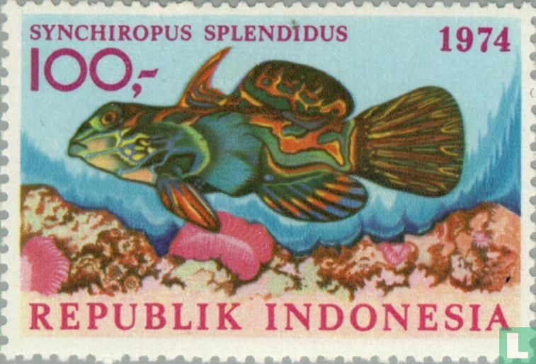 Native fish