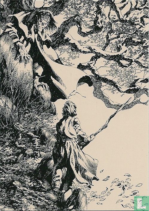 Confrontation