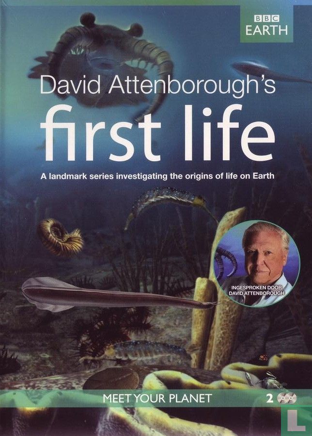 First Life