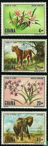 Flora und Fauna
