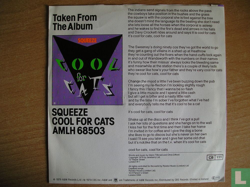 Cool for Cats