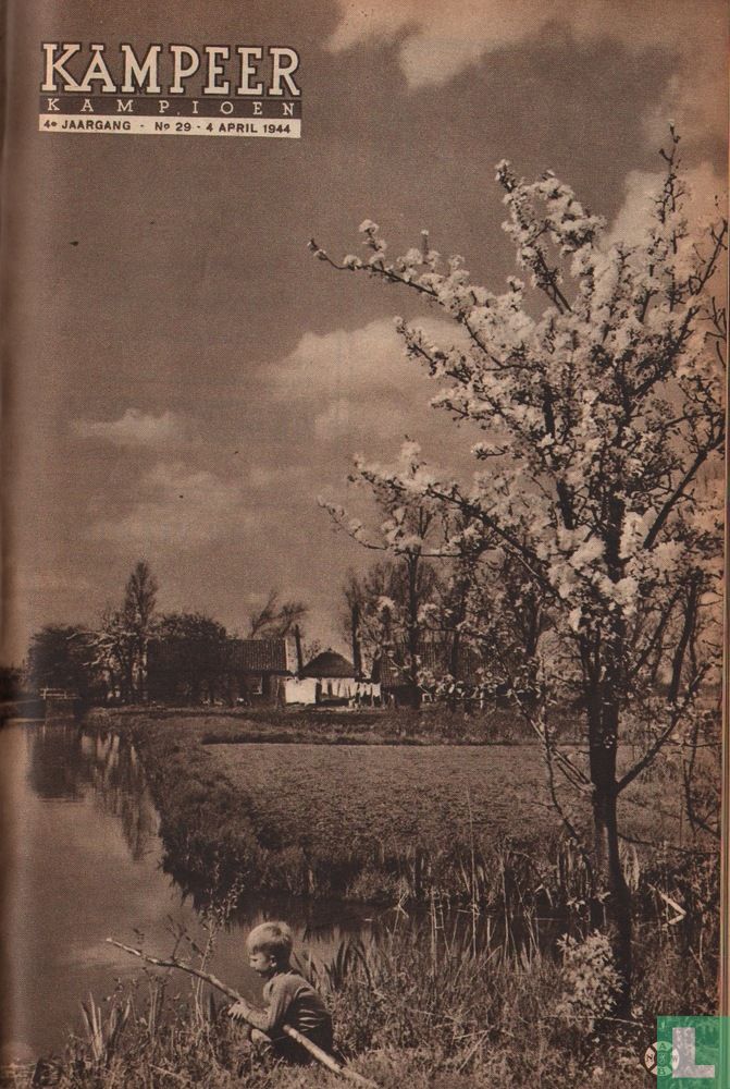 Kampeerkampioen 29