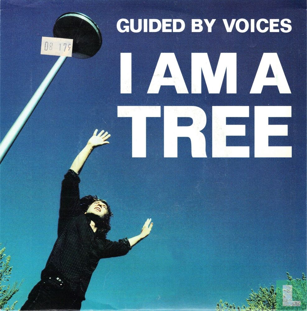 I am a tree