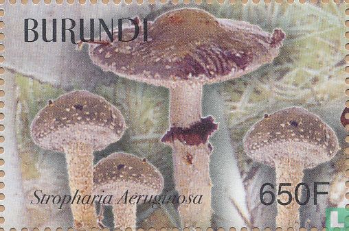 Champignons  