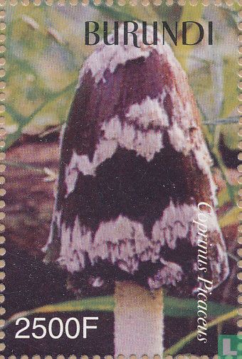 Champignons  