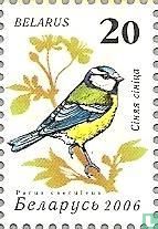 Singvögel (beschichtet)