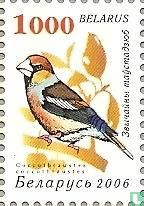 Singvögel
