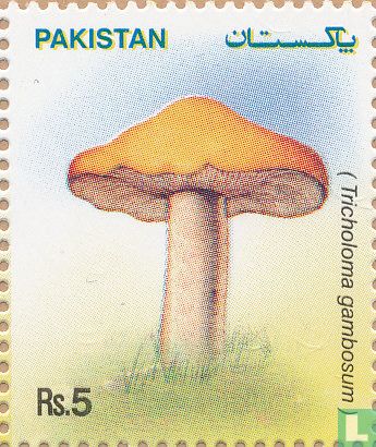 Champignons  