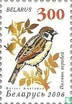 Singvögel (beschichtet)