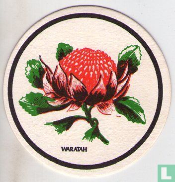 Waratah