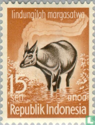 Dierenbescherming
