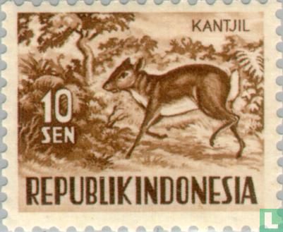 Dieren
