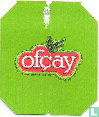 Ada Çayi