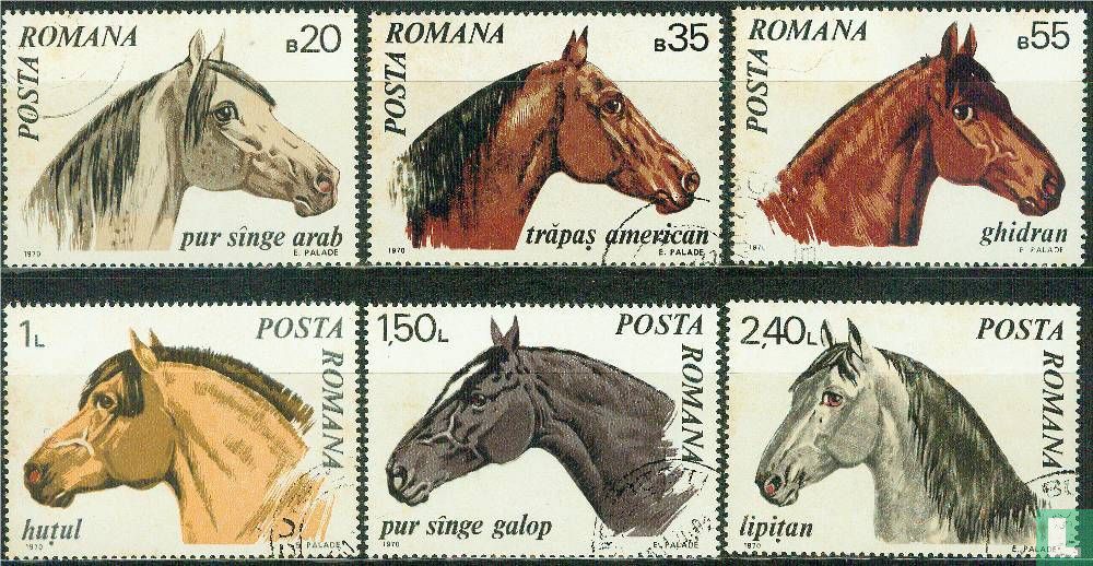 Paarden