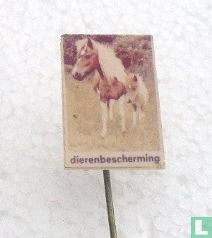 Dierenbescherming (pony)