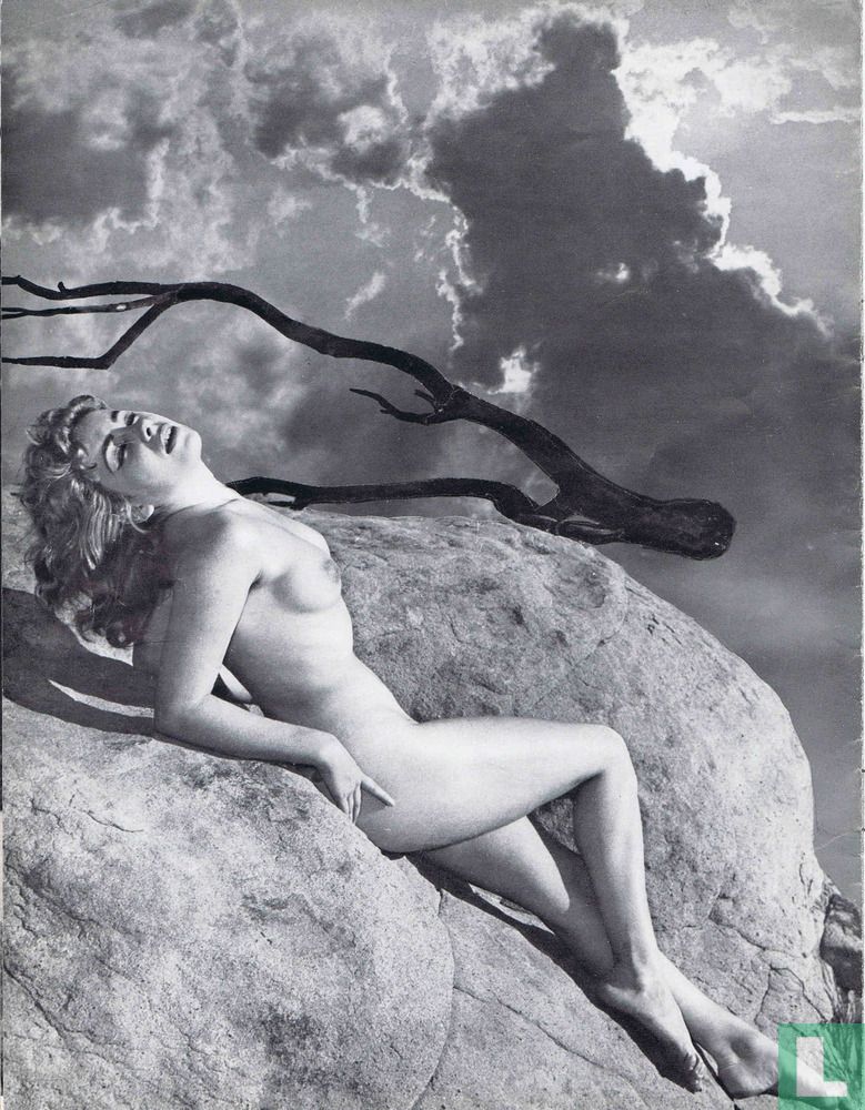 Modelstudier 65