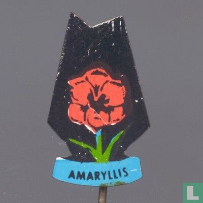 Amaryllis