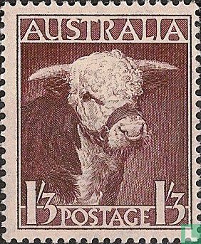 Bull