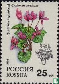 Blumen