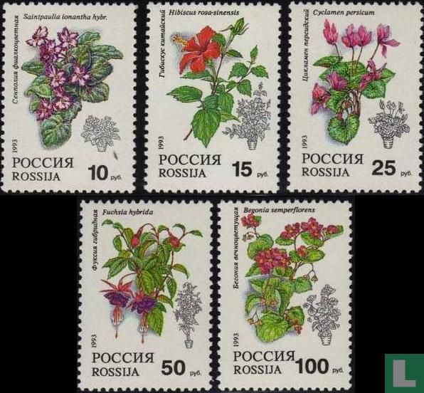 Blumen