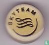 KLM - Skyteam (01)