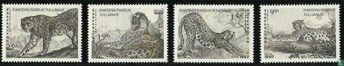 Leopard