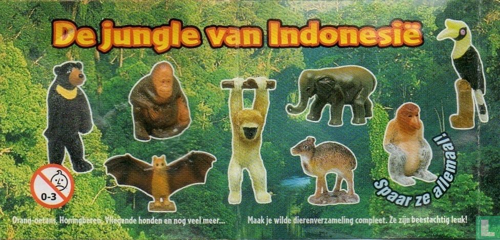 White-chested Bear