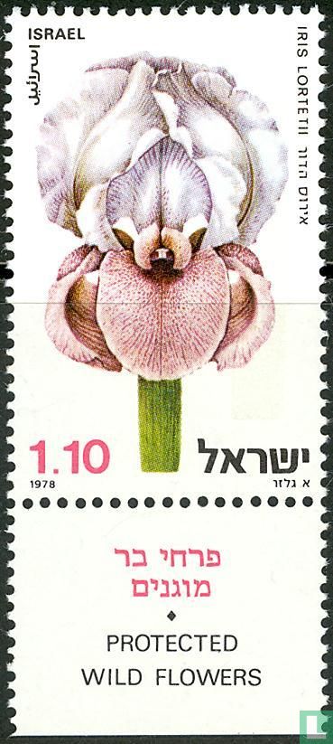 Protected Wildblumen