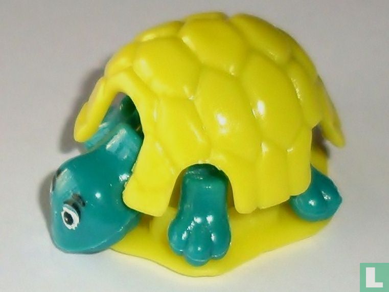Tortoise