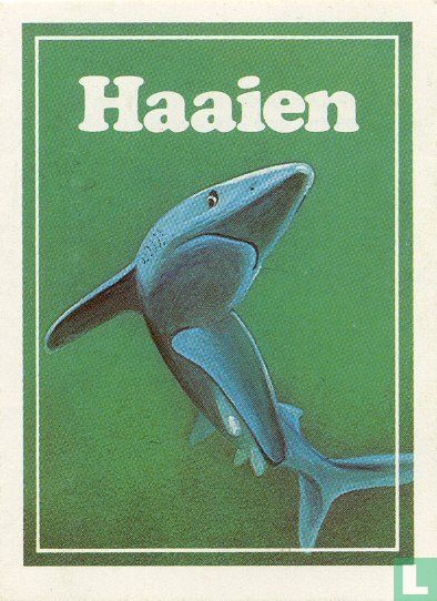 Haaien