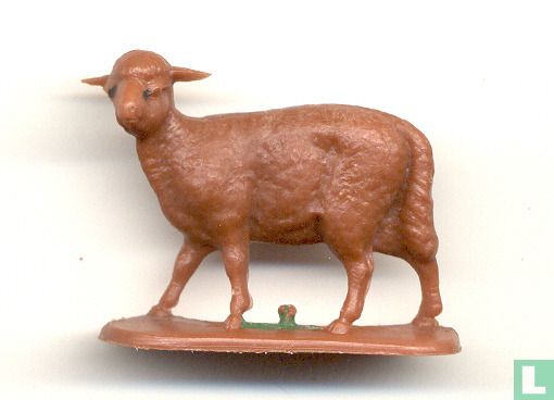 Sheep