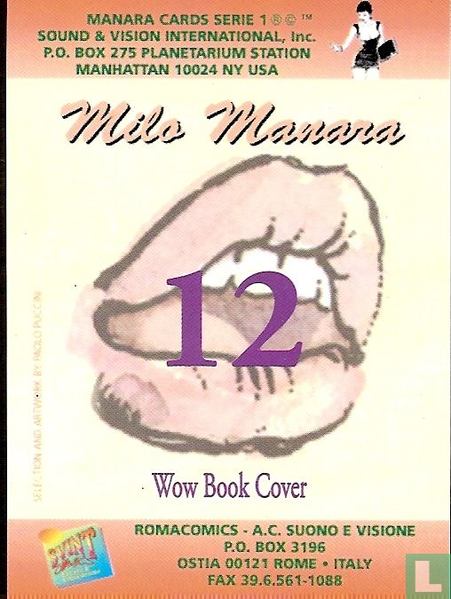 Wow book cover