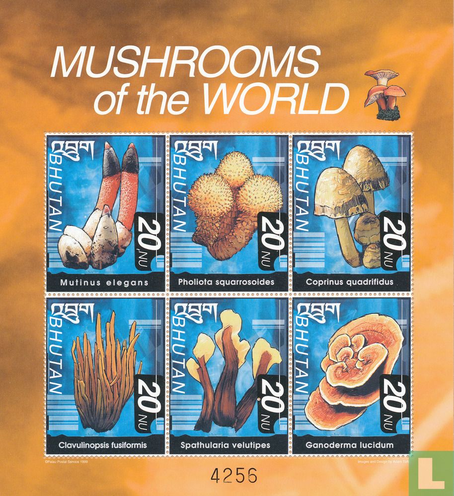 Paddenstoelen