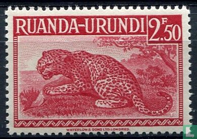 Leopard
