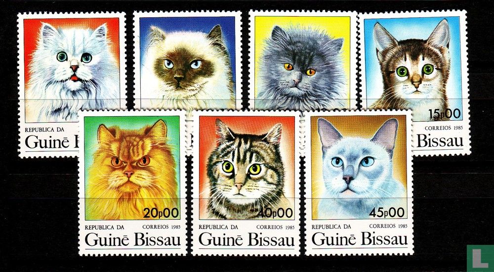 Argentine '85 - Chats