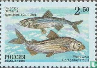 Fische