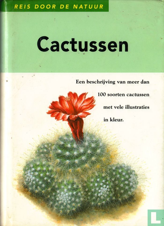 Cactussen