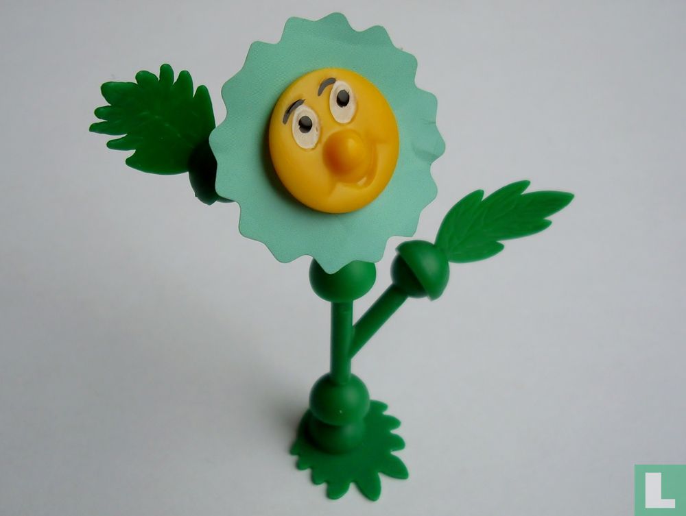 Blume