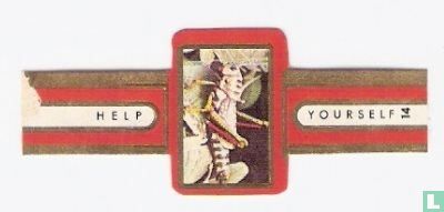[Thracyderes Leprosus]