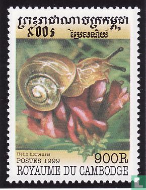 Mollusques