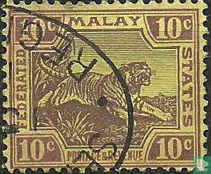 tiger
