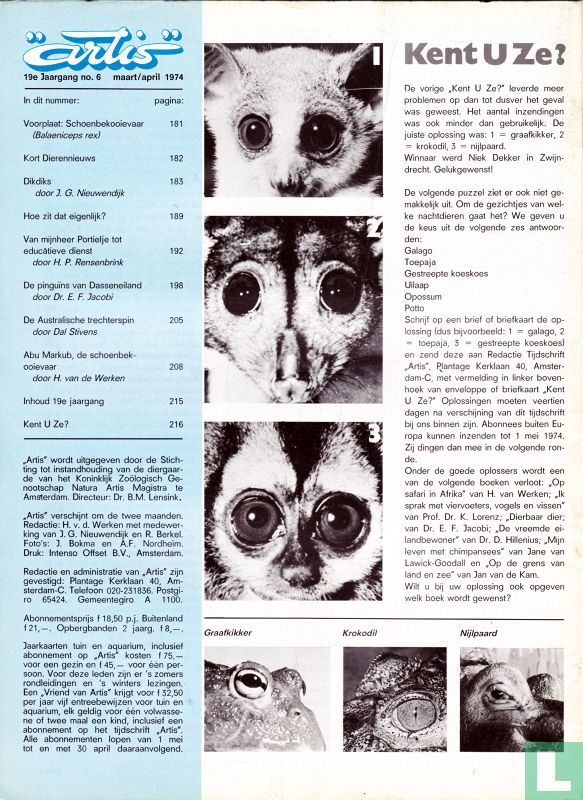 Artis 6