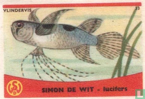Vlindervis