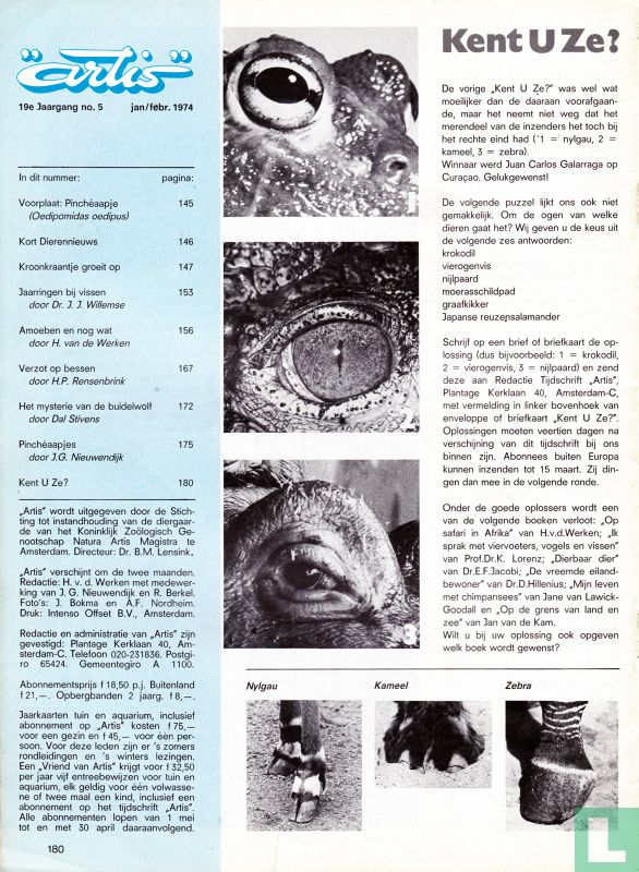 Artis 5