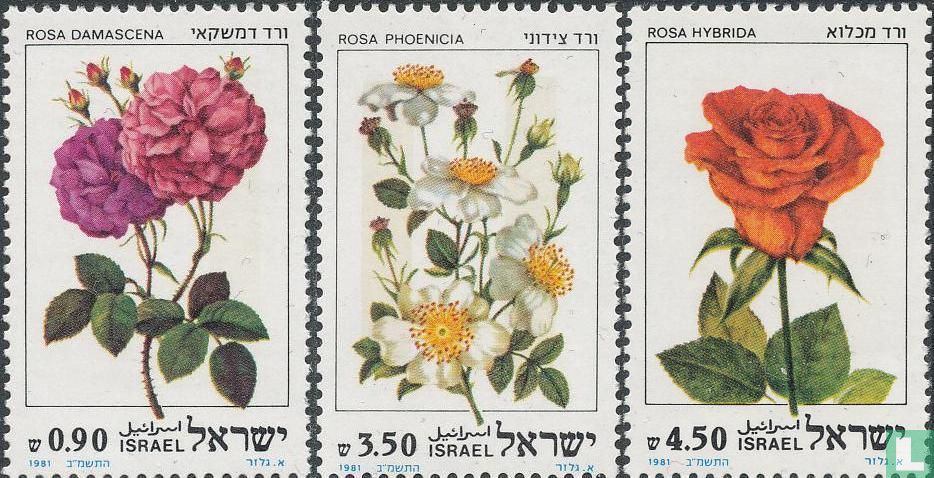 Israeli Roses Roses (1981) - Israël - LastDodo