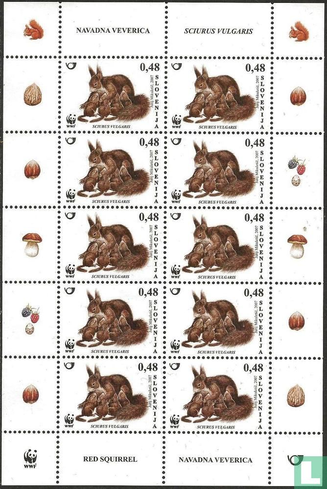 WWF-Squirrel  